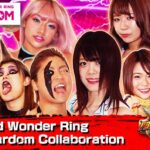 PS4《超火爆摔角世界》更新 10大强壮美女汉子上线