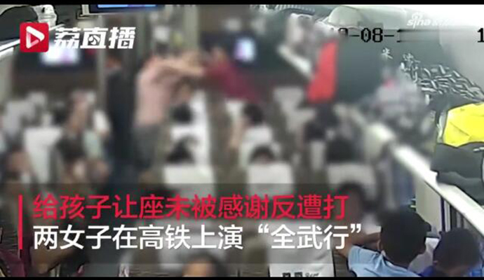 女子高铁让座未被感谢反被打 现在真是好人难做啊！